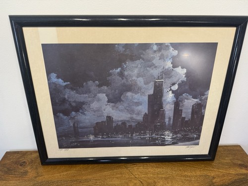 Tom lynch night lights signed - lights,