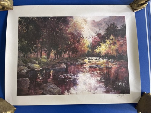 Tom lynch signed collection - tom,