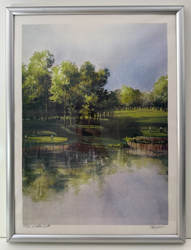 Tom lynch grand vista - tom,