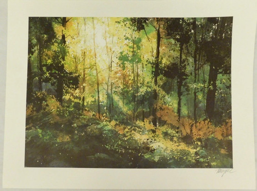 Tom lynch green forest - lynch,